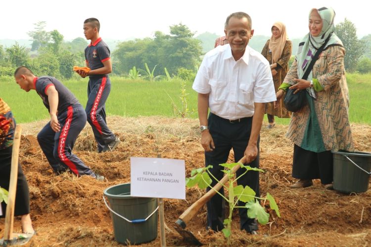 Kementerian Pertanian (Kementan) bekerja sama dengan Kementerian Hukum dan Hak Asasi Manusia (Kemenkumham) bekerja sama untuk optimalisasi pemanfaatan lahan pekarangan di areal lembaga pemasyarakatan (LP), Jumat (28/6/2019)