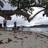 Rekomendasi 3 Pulau Raja Ampat untuk Diving dan Snorkeling