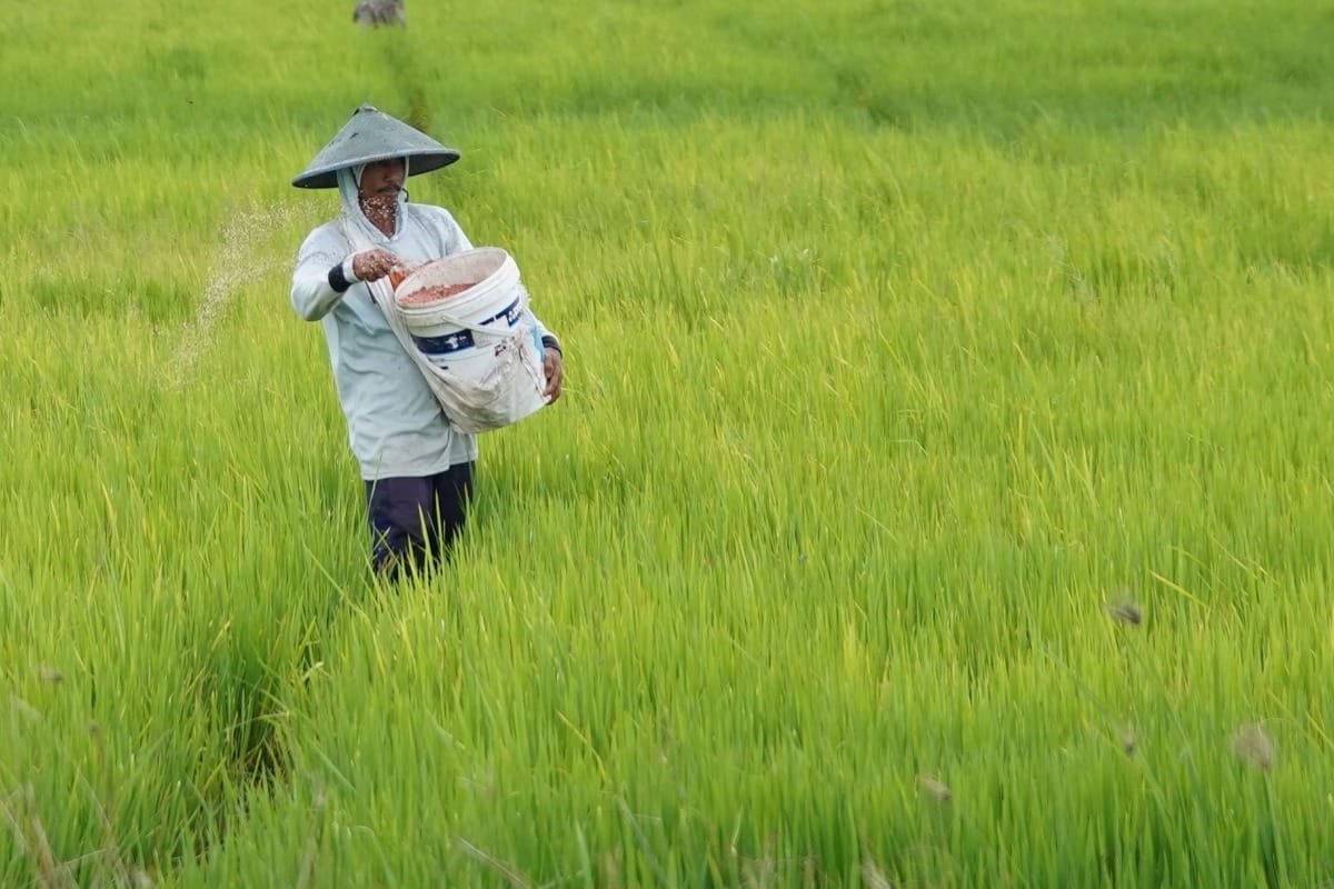Kepuasan masyarakat terhadap kinerja sektor pertanian dibawah pimpinan Menteri Pertanian (Mentan) Andi Amran Sulaiman terus menguat berkat berbagai kebijakan strategis.