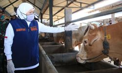 Jelang Idul Adha 2022, Gubernur Jatim Siapkan 1.276 Juru Sembelih Halal