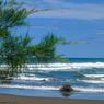 Pantai Jayanti: Daya Tarik, Harga Tiket, dan Rute