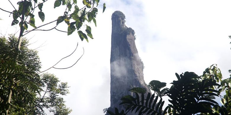 Tebing di Puruk Sandukui, Desa Harowu, Kecamatan Miri Manasa, Kabupaten Gunung Mas, Kalimantan Tengah, dari kejauhan. Diambil dari dalam hutan sisi utara yang mengelilingi tebing. Di sini terlihat bentuk unik tebing  tersebut yaitu puncak utamanya yang menyerupai jari telunjuk mengarah ke atas.