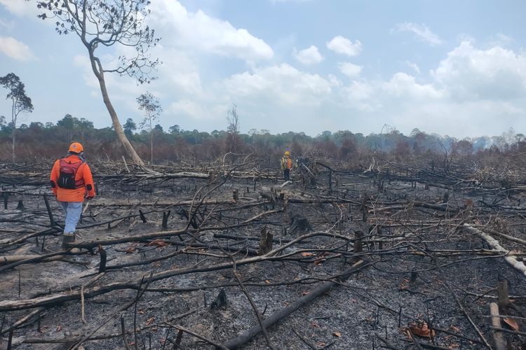Sudaha 14 Hari Kebakaran Lahan di Lingga Kepri Belum Padam, Petugas Upayakan Putus Jalur Api