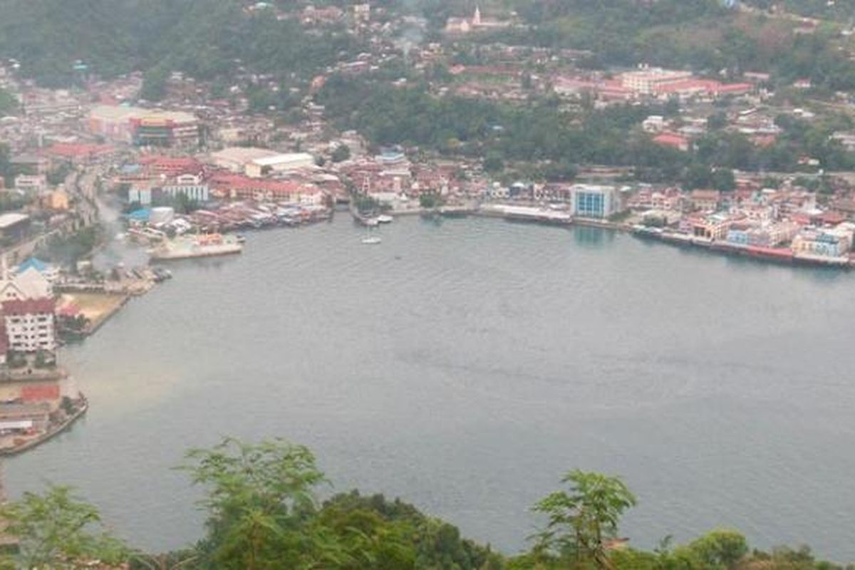 Pemandangan pusat Kota Jayapura dari bukit di daerah Polimak, Distrik Jayapura Selatan. Jayapura merupakan pusat pemerintahan Provinsi Papua yang juga mempunyai nama lain Port Numbay.