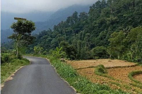 Cara Berkendara Aman di Jalur Penuh Kelokan Tanpa Marka Jalan