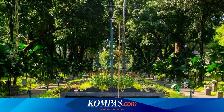 4 Aktivitas di Taman Suropati Jakarta, Healing Sambil Baca Buku Gratis
