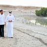 Saat Presiden Jokowi Tanam Mangrove di Abu Dhabi...