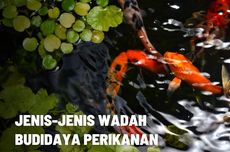 Jenis-jenis Wadah Budidaya Ikan