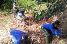 Cegah Longsor, Warga Tanam Pohon di Sekitar Rekahan Tanah Penggaron