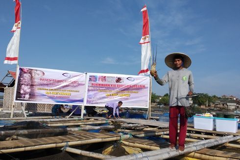 Di Hadapan Menteri Edhy, Nelayan Lombok Timur Tolak Ekspor Benih Lobster