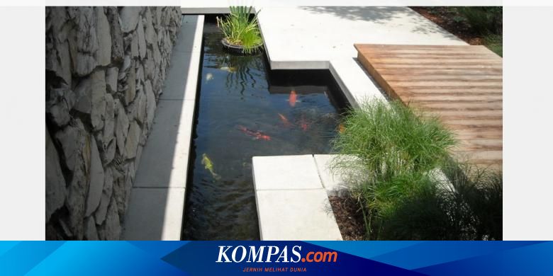 Kenapa Air Kolam Keruh Ini Triknya