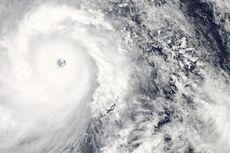 Ada Sejuta Petani Filipina Terkena Dampak Topan Haiyan