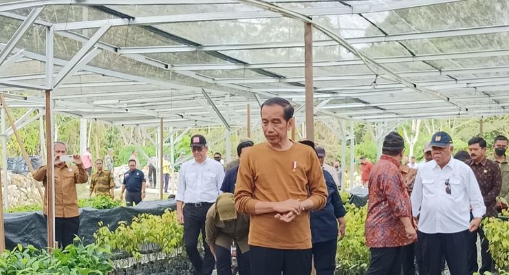 Jokowi Tegaskan Pembangunan IKN Tetap Lindungi Orangutan dan Bekantan