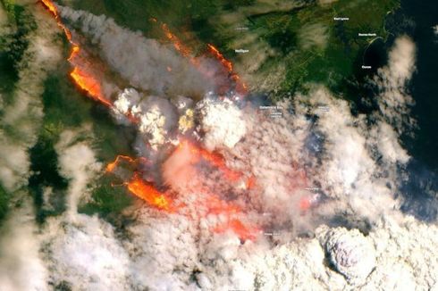 Kebakaran Telah Melahap Seperlima Hutan di Australia