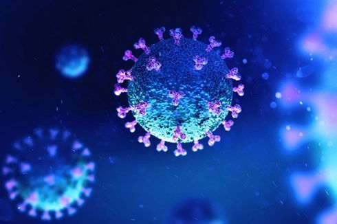 Studi: Virus Corona B.1.1.7 64 Persen Lebih Mematikan