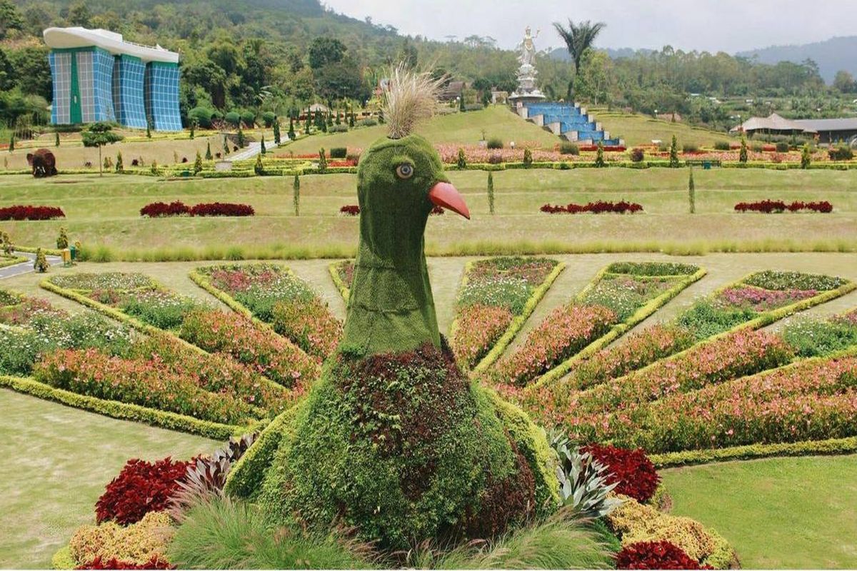 Taman bunga di The Blooms Garden Bali. Salah satu tempat wisata di Bedugul, Bali.