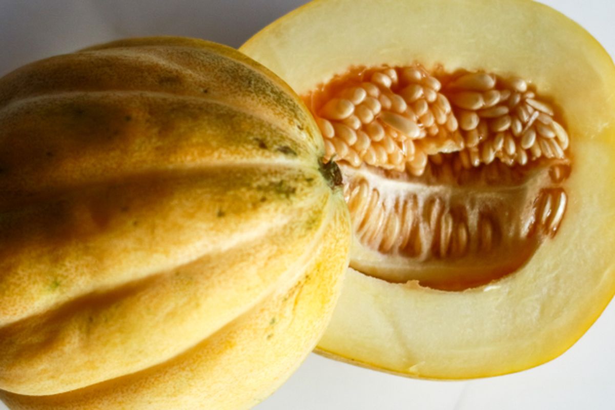 Ilustrasi buah blewah.