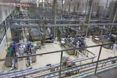 Pembangunan Pabrik Es Krim Aice Senilai Rp 500 Miliar Molor, Ini Sebabnya