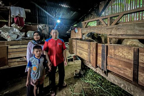 Kandang Domba Tempat Tinggal Keluarga Sukiman di Bandung Barat Dibongkar