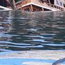 Kapal Wisata di Labuan Bajo Tenggelam, Pemilik Minta Bantuan Pemda