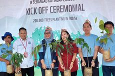 Restorasi Hutan Kalteng, Epson Gandeng WWF Tanam 200.000 Pohon