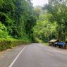 Kondisi Jalan Utama Jember ke Banyuwangi, Sebagian Besar Cuma 2 Ruas