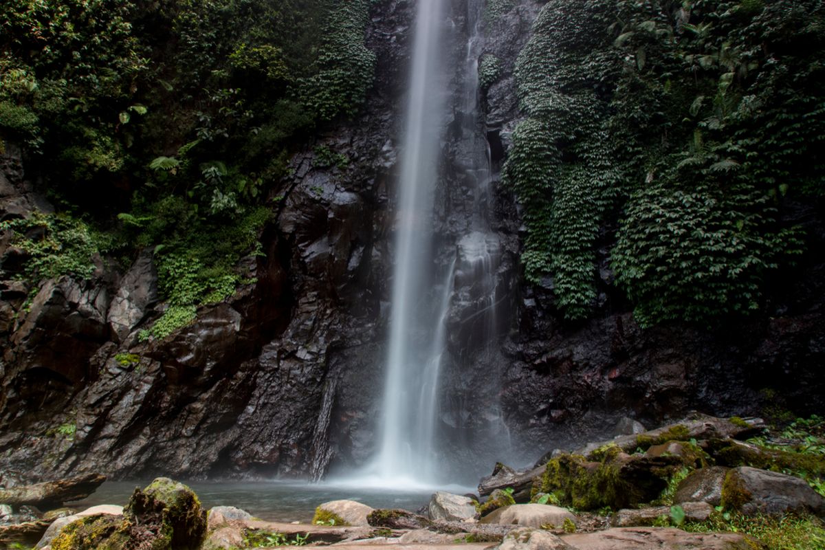 Air Terjun Tancak di Kecamatan Panti, Kabupaten Jember, menawarkan panorama alam megah dengan aliran air setinggi 82 meter di lereng Gunung Argopuro.
