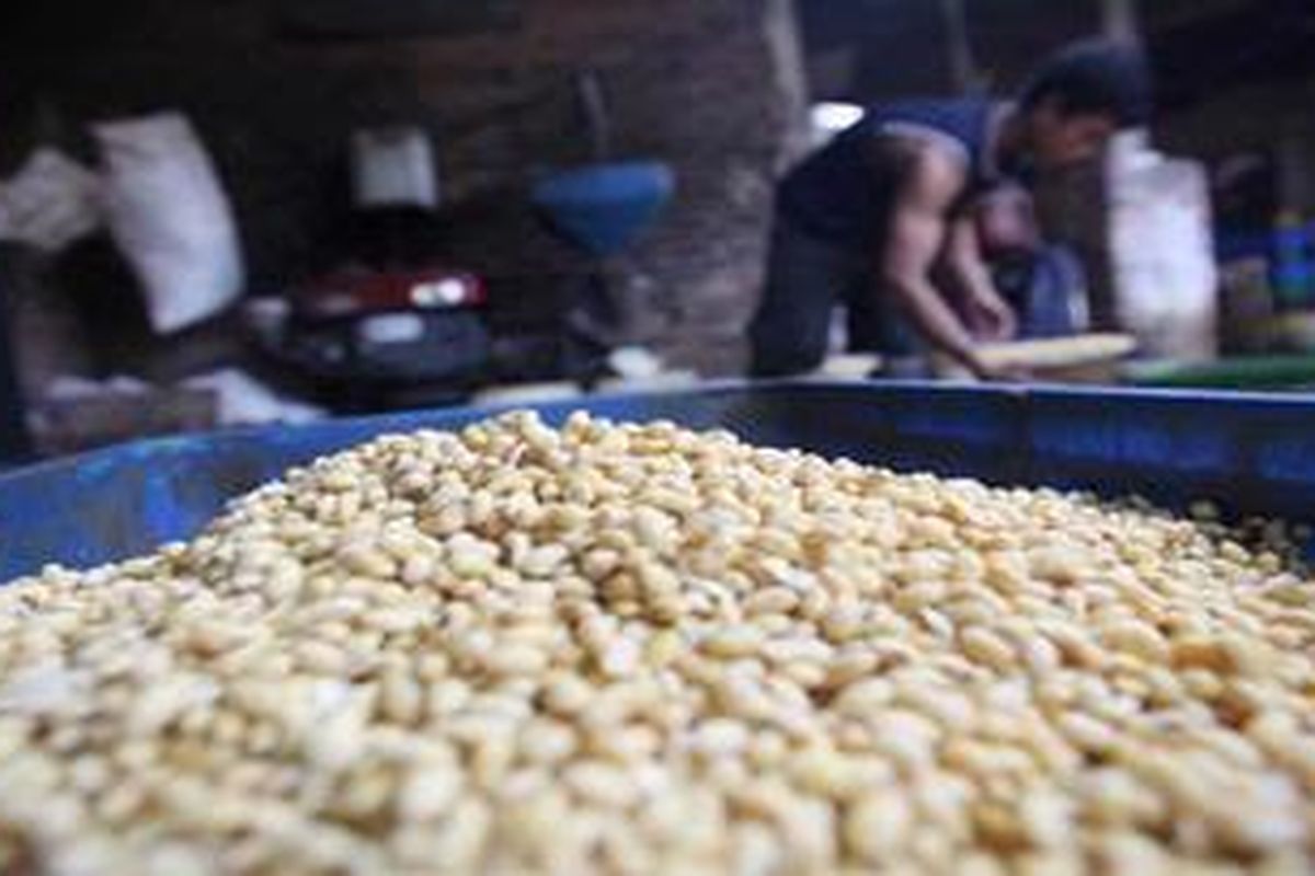 Pekerja membersihkan kedelai untuk diolah menjadi tahu di pabrik tahu rumahan di kawasan Peninggilan, Tangerang Banten, Sabtu (21/5/2011).