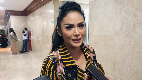Intip Kekayaan Krisdayanti, Penyanyi yang Akui Kalah Suara di Pilkada Kota Batu 2024