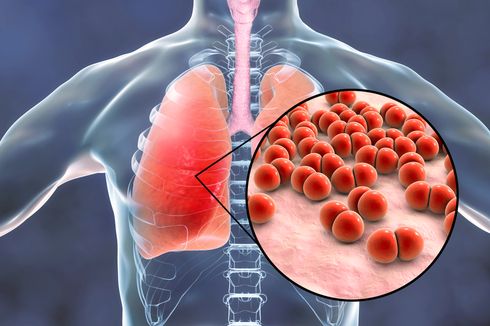 WHO Terima Laporan Penyebab Wabah Pneumonia di China, Bukan Virus Baru