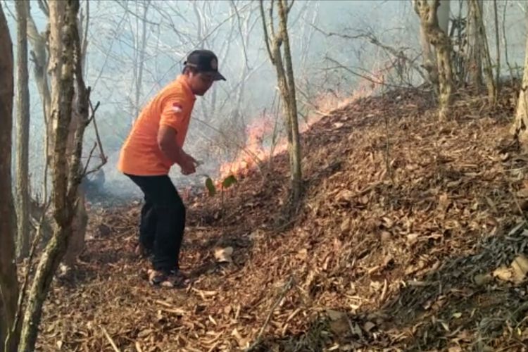 Relawan berupaya memadamkan kebakaran di kawasan lindung hutan Waduk Sermo. Upaya memadamkan api membuahkan hasil setelah berjuang selama 2 jam dengan alat seadanya. Foto ini diambil personel Damkar Kulon Progo.