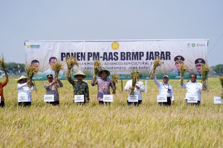 Produksi Padi Indramayu Capai 10,45 Ton Per Hektare, Lucky Hakim Sebut Berkat Teknologi dan Modernisasi Pertanian