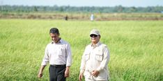 BPS: Pertumbuhan Ekonomi Nasional Triwulan II-2025 Capai 5,12 YoY, Pertanian Sumbang 13,53 Persen