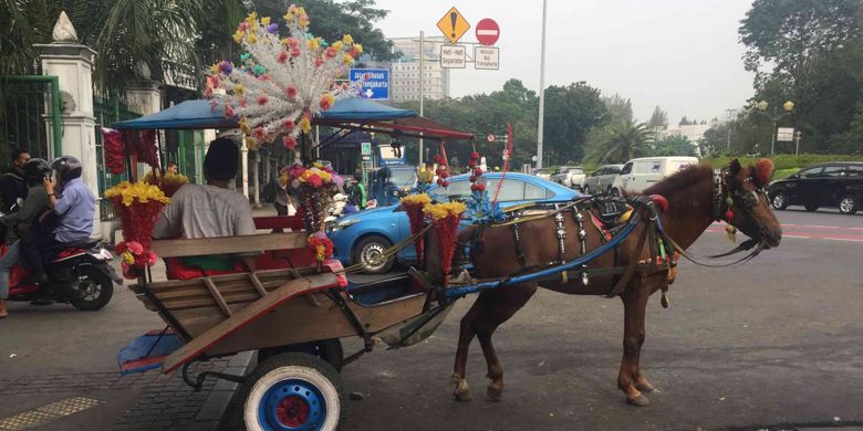 Pemprov DKI Jakarta melarang delman  di Jakarta Pusat  beroperasi selama Asian Games 2018 atau mulai 1 Agustus-30 September 2018. Pelarangan tersebut dilakukan untuk menghindari penyakit menular yang bisa saja menjangkit kuda atlet Asian Games, Rabu (4/7/2018).