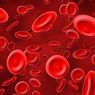 Sel Darah Merah Tinggi Penyebabnya Apa?