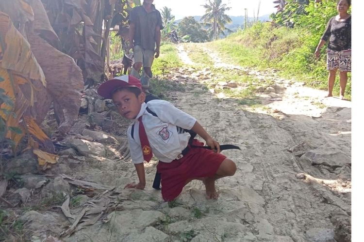 Rivaldus Eman Jalu (7) berjalan dengan lutut ke sekolahnya di SDN Sare dengan jarak 1.800 meter dari rumahnya, Selasa, (23/8/2022). (KOMPAS.com/DOK-GURU SDN SARE-HERIBERTUS MINGGUS)