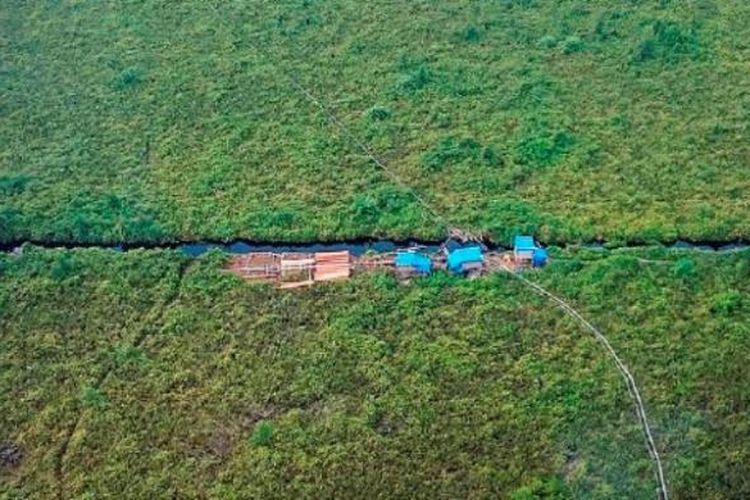 Salah satu kawasan hutan konservasi Cagar Biosfer Giam Siak Kecil dan Bukit Batu Riau yang sudah terbuka akibat pembalakan dan perambahan. Tampak salah satu pondok pembalak liar beserta kayu olahan di samping kanal yang membelah kawasan cagar biosfer. Foto diambil pada Rabu (5/10/2016).