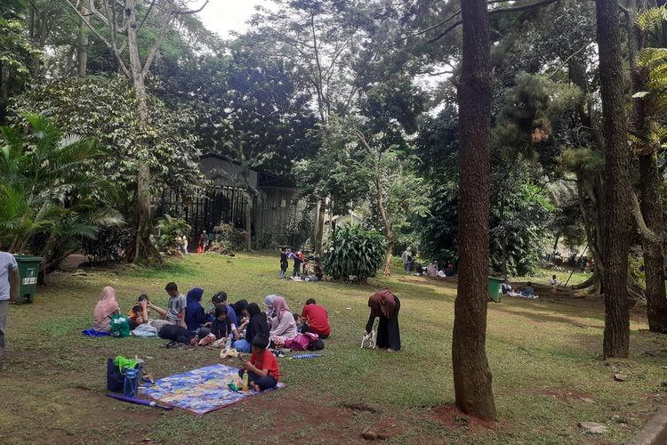 Sejumlah warga terlihat sedang piknik di Kebun Binatang Ragunan, (18/2/2023).