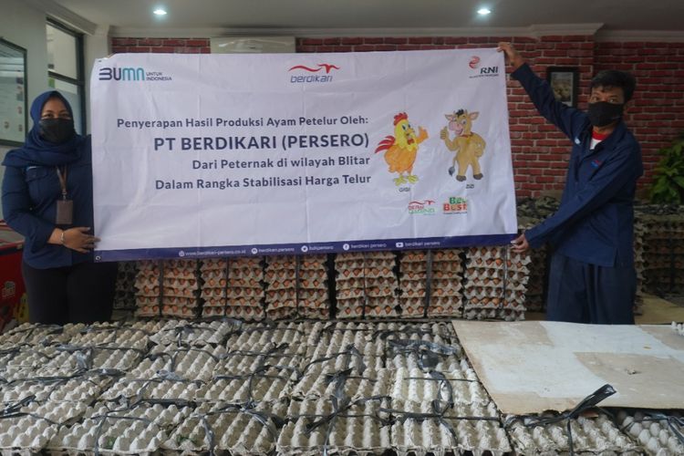 Badan Usaha Milik Negara (BUMN) Peternakan, PT Berdikari (Persero) menyerap telur dari peternak ayam di Blitar. 