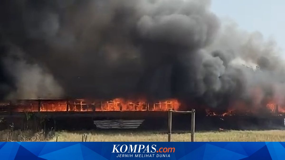 Kandang Ayam di Purwakarta Terbakar, 170 Ribu Ayam Terpanggang, Kerugian Ditaksir Capai Rp 5 M