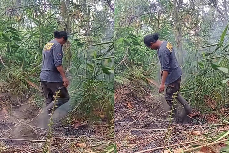 Perjuangan Tim Padamkan Karhutla Way Kambas: Blusukan 2 Km ke Tengah Semak, Air Terbatas