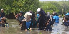 Komitmen pada Pembangunan Berkelanjutan, Universitas Pertamina Tembus Times Higher Education Impact Rankings