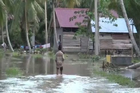 Warga Pasangkayu yang Dilanda Banjir Resah dengan Kemunculan Buaya 