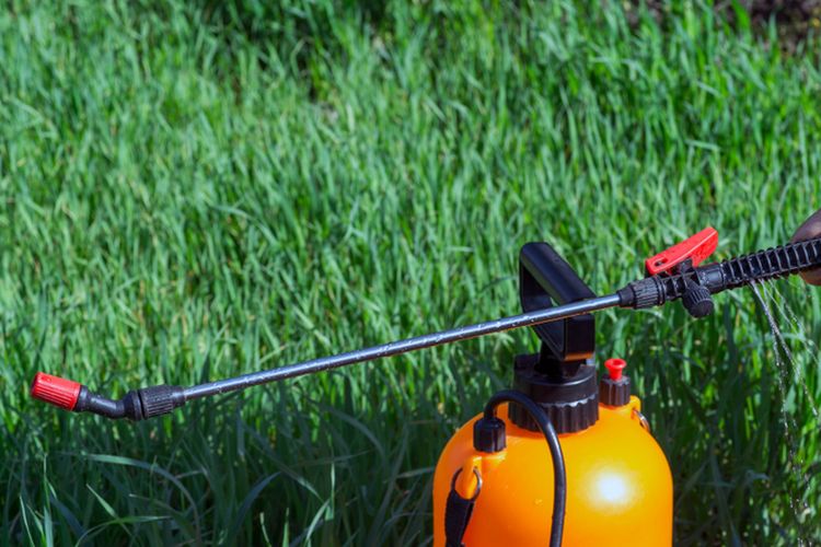 Ilustrasi hand sprayer untuk mengaplikasikan pupuk dan insektisida pada tanaman. 