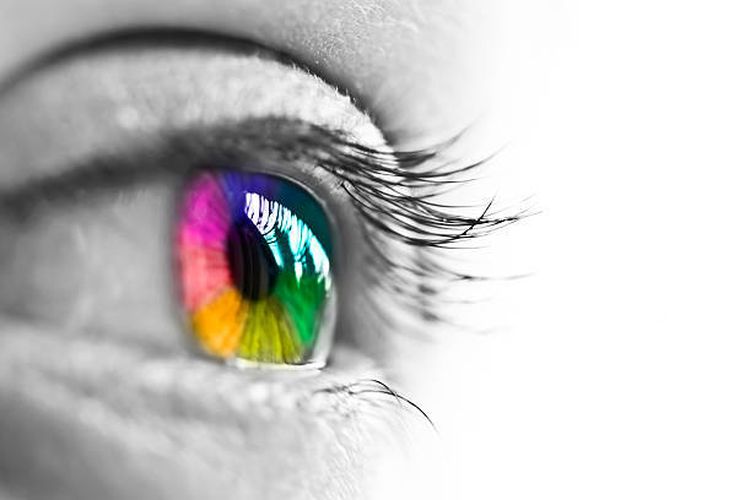 Ilustrasi bagaimana cara manusia melihat warna.