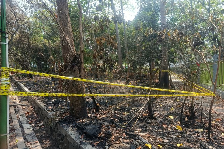 Hutan Kota Bekasi Terbakar akibat Pembakaran Sampah, Kini Sudah Padam