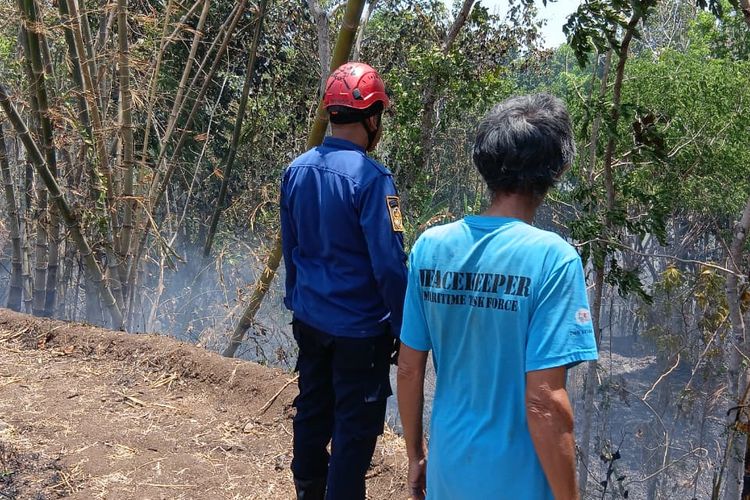 Kebakaran Lahan di Semarang Tewaskan Lansia, Api Hanguskan 1 Hektar