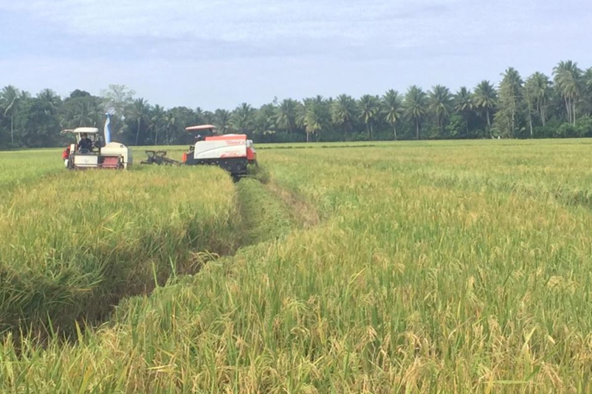 Data terbaru menunjukan luas lahan bahan baku sawah pada 2018 mencapai 7,1 juta hektar. Angka tersebut mengalami penurunan sekitar 635 ribu hektar.