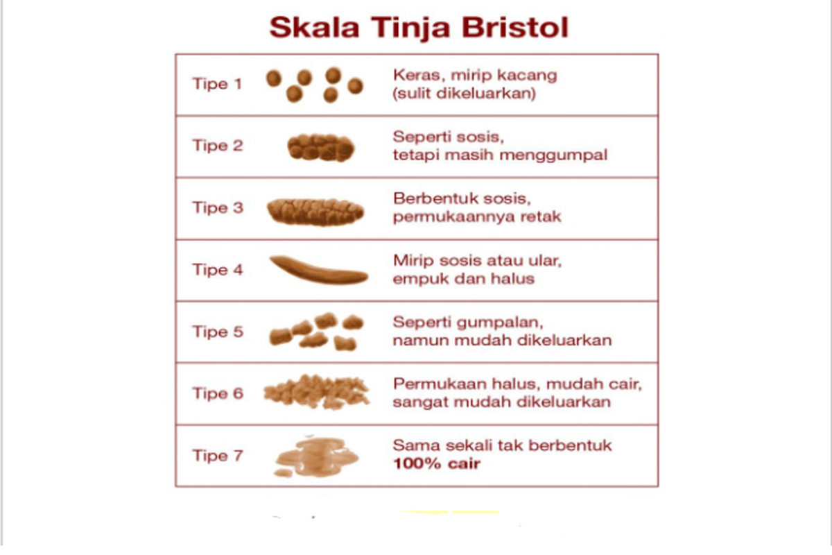 Tabel Skala Tinja Bristol