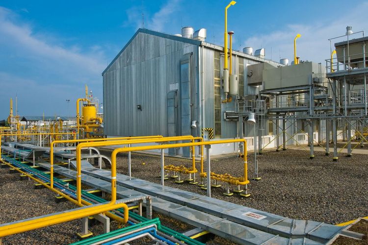 PGN Bangun Fasilitas Biomethane di Pagardewa, Dorong Energi Bersih